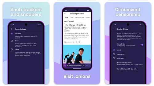 امنیت تور (Tor Browser)